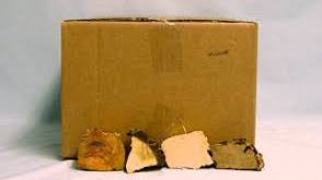 Cookshack Wood Chunks Hickory - 20 lbs.